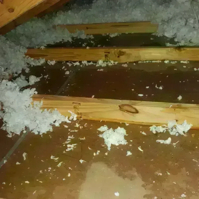 Attic Water Damage in Ranger, TX