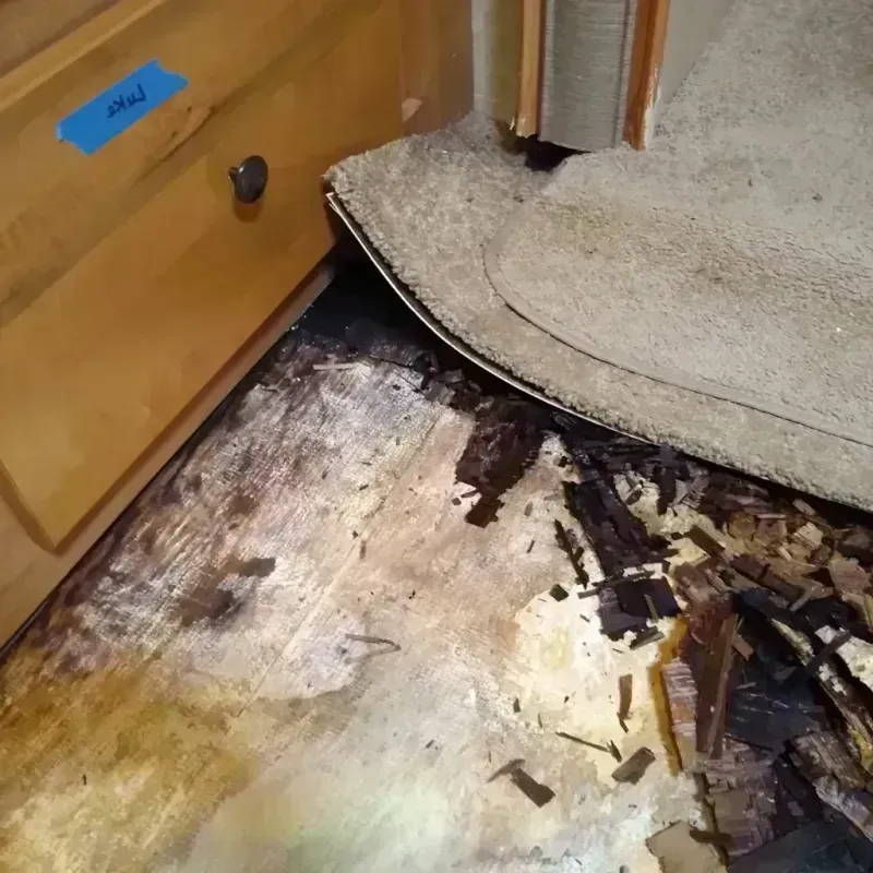 Wood Floor Water Damage in Ranger, TX